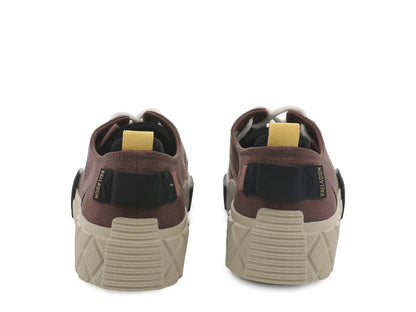 Palladium Trusted | ACE CITY SHELL LO