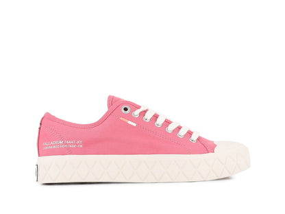 Palladium Exclusive | PALLA ACE CVS ORG